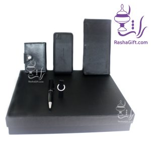 ست الکترونیکی و چرم طبیعی راشا 2