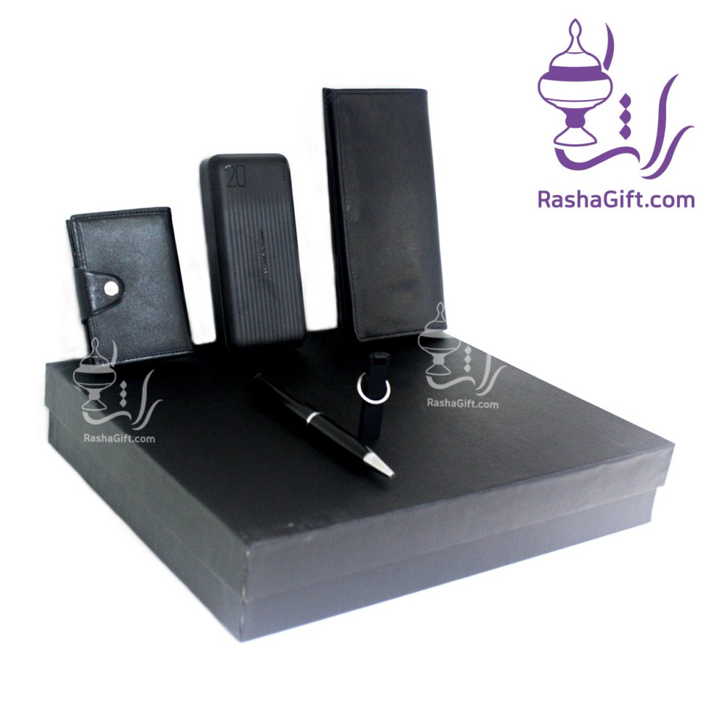 ست الکترونیکی و چرم طبیعی راشا 2