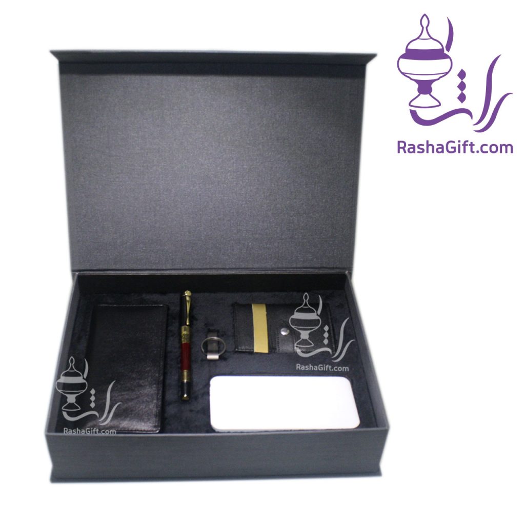ست الکترونیکی و چرم طبیعی راشا 5